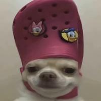 幸福圆月qij头像