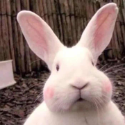 亦暮暮的个人资料头像