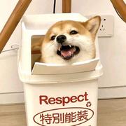 用户6254308608188的个人资料头像