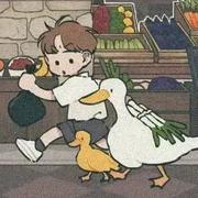 鲍亮的个人资料头像