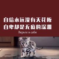 车之侠华仔头像