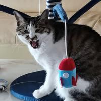 橘色小王子361头像