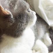 leedly的个人资料头像