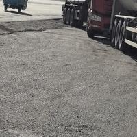 亲切雪梨EI头像