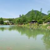 超级大车神头像