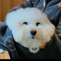 用户7558386162605头像