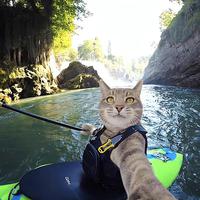 我住海口路头像