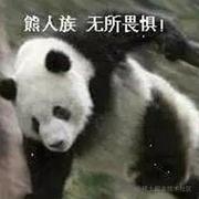 yuanczx的个人资料头像