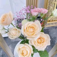 多才多艺柑桔40j头像