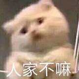 18853988头像