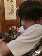 清风910_的个人资料头像