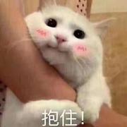 黄鑫元的个人资料头像
