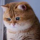 return1的个人资料头像