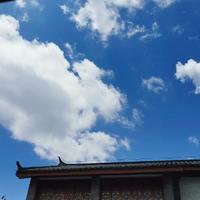 德鲁大叔DL头像