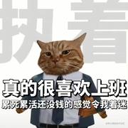 健谈的尸体的个人资料头像