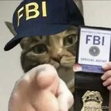 上进的玺霖头像