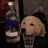 18岁我真的会快乐吗头像