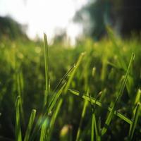 悠闲画板Lc头像