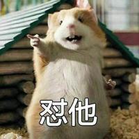 自强不息糯米LIm头像