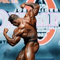 健身总是划水头像