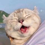 春日部落格头像