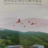 鑫淼庄主头像
