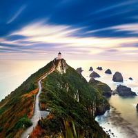 jiangzhigao243头像