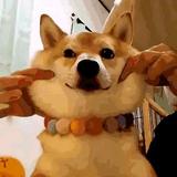 无聊的时间做什么头像