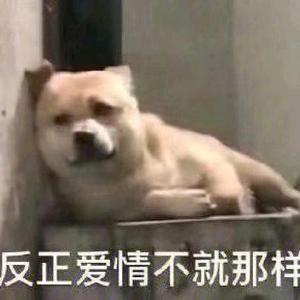 莲花北（暗区突围）头像