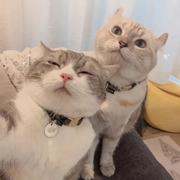 Neo97的个人资料头像