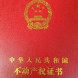 谢帅头像