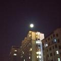 懋懋爹头像