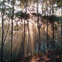 火星人特种兵头像