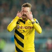 meiyuzu的个人资料头像