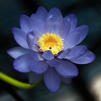 广州这天真热头像