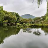 淡定风铃2Jy头像