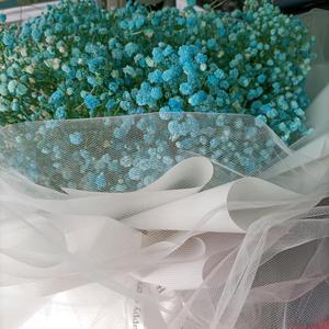 青涩奶茶m6L头像