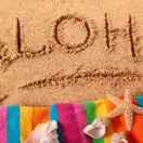 73891的个人资料头像