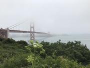 一样的烟青的个人资料头像