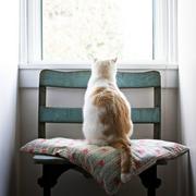 IAXM的个人资料头像