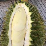 热闹奶酪8z8头像