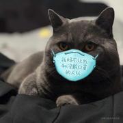 qiusanxin的个人资料头像