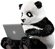 user6667165826824的个人资料头像