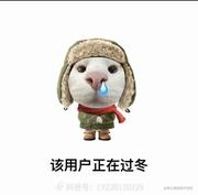 aliwo的个人资料头像