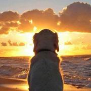 岁月无言的个人资料头像