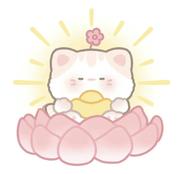 前端糖果猫的个人资料头像