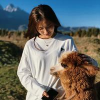 用户3482629953头像