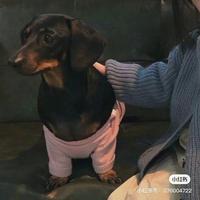 东海龙王702头像