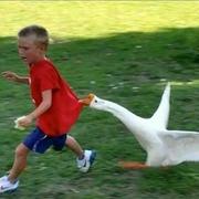 安于心的个人资料头像