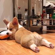 华年291的个人资料头像